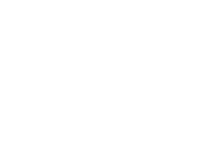 NWH White Logo